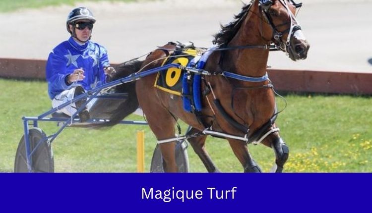 Magique Turf