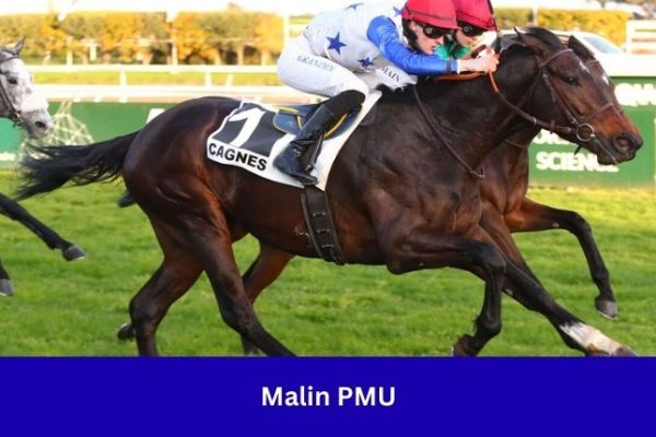 Malin PMU