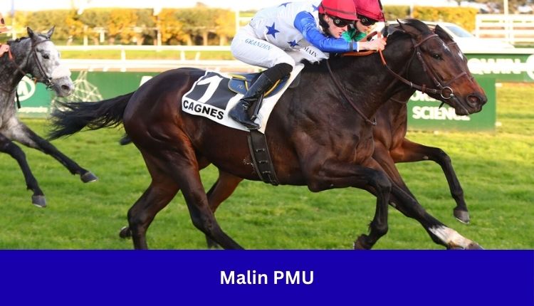 Malin PMU