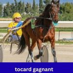 Tocard Gagnant