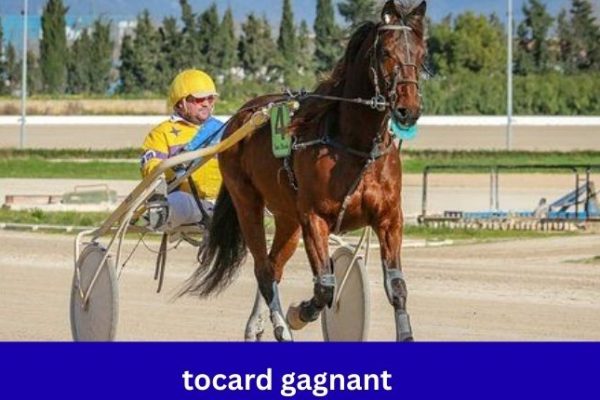 Tocard Gagnant