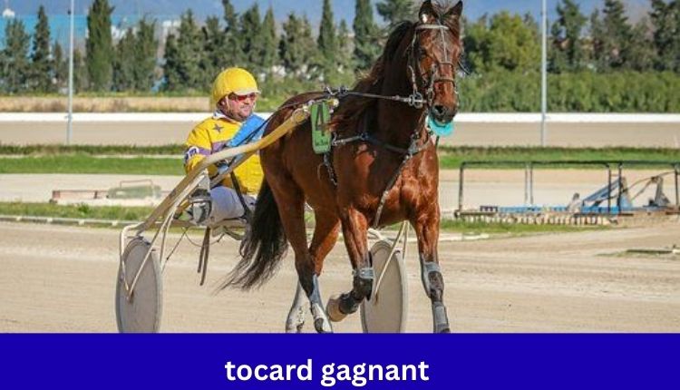 Tocard Gagnant