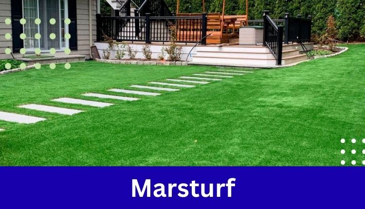 Marsturf