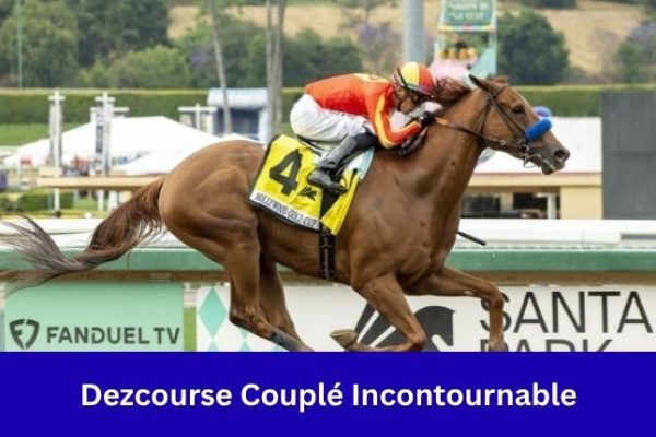 Dezcourse Couplé Incontournable