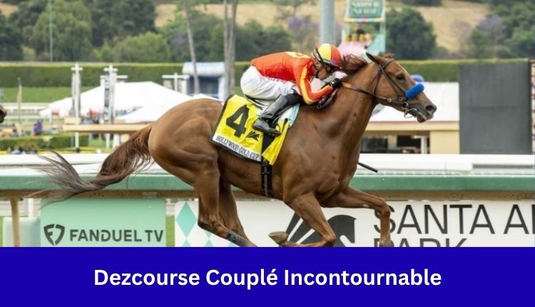 Dezcourse Couplé Incontournable