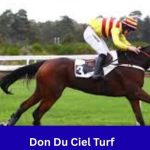 Don Du Ciel Turf