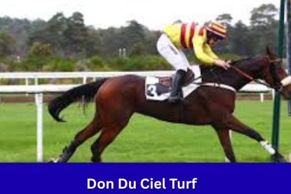Don Du Ciel Turf