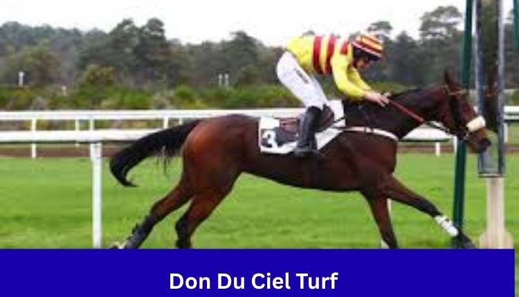 Don Du Ciel Turf