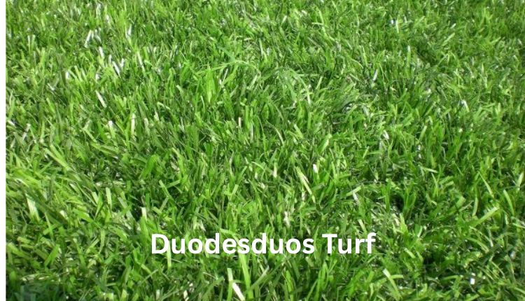 Duodesduos Turf
