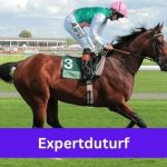 Expertduturf: Guide To Online Turf Betting Platform