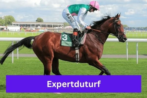 Expertduturf