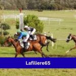 The Complete Guide To Lafiliere65