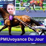 PMUvoyance Du Jour