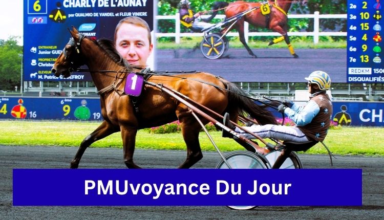 PMUvoyance Du Jour