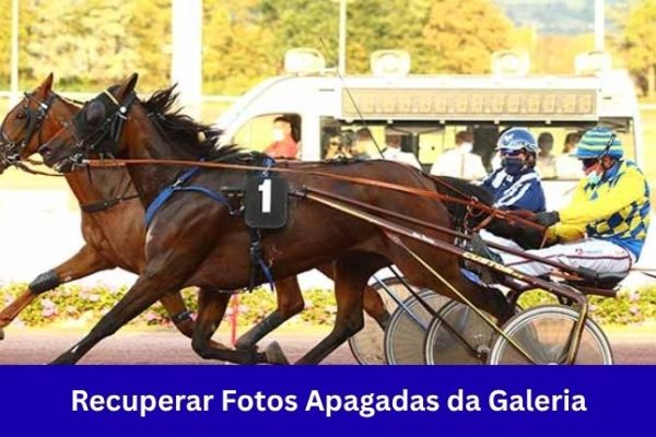 Recuperar Fotos Apagadas da Galeria