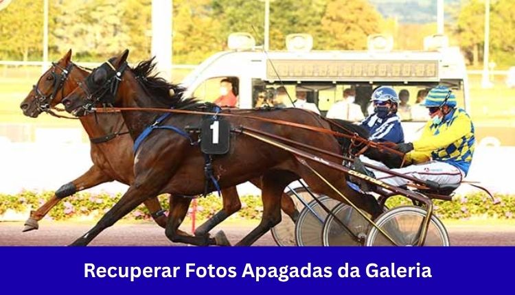 Recuperar Fotos Apagadas da Galeria